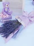 Lavender + Socola Valentine 5